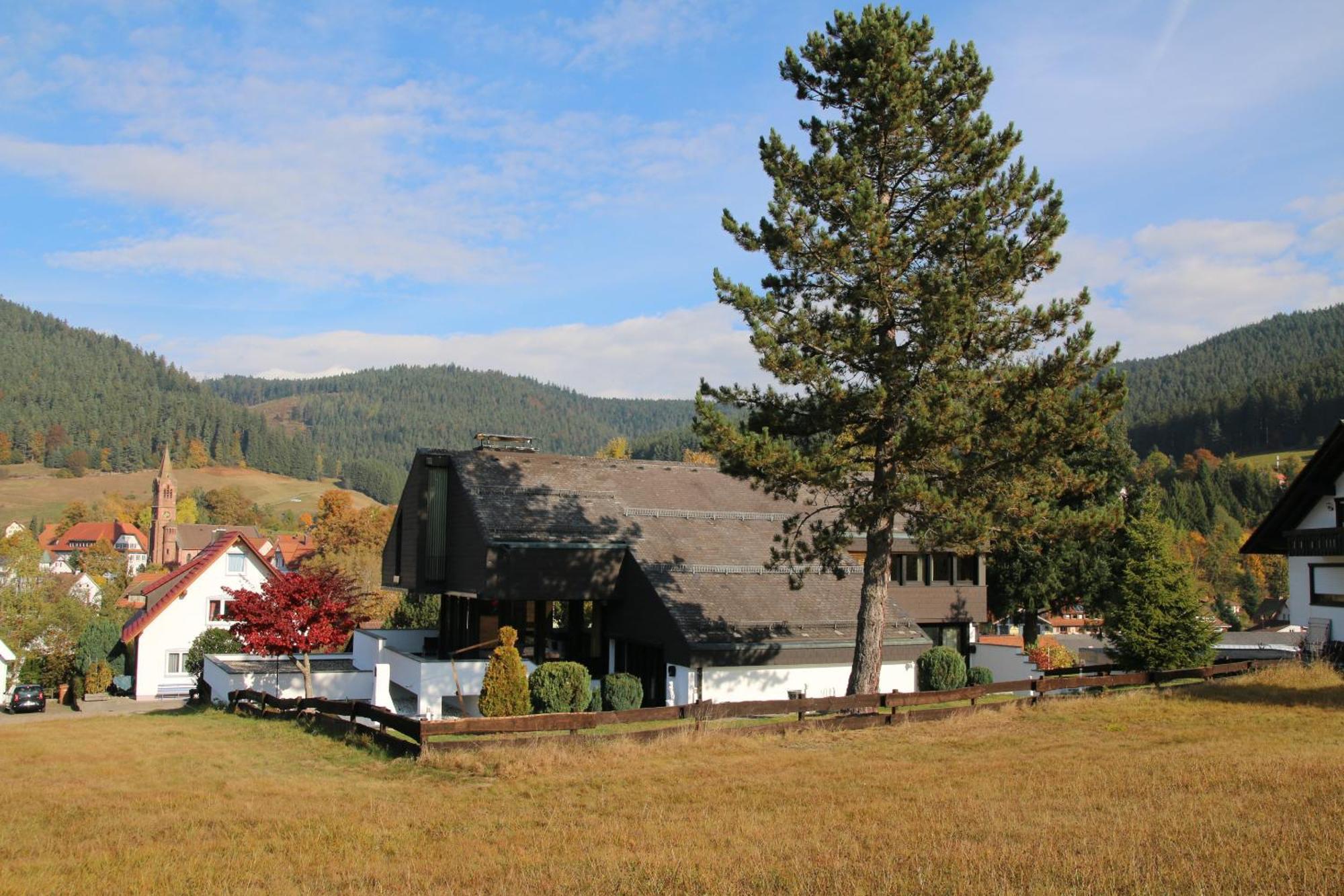 Luxus-Landhaus Im Schwarzwald/Baiersbronn Mit Pool Exterior foto