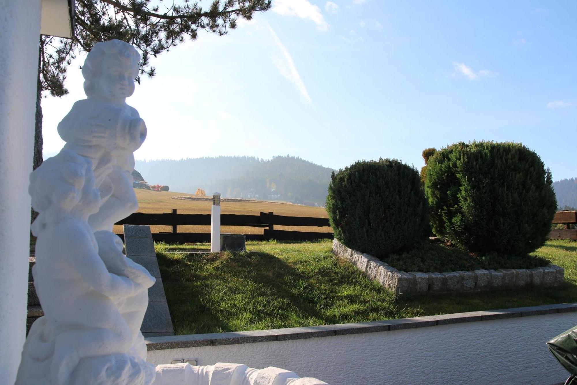 Luxus-Landhaus Im Schwarzwald/Baiersbronn Mit Pool Exterior foto
