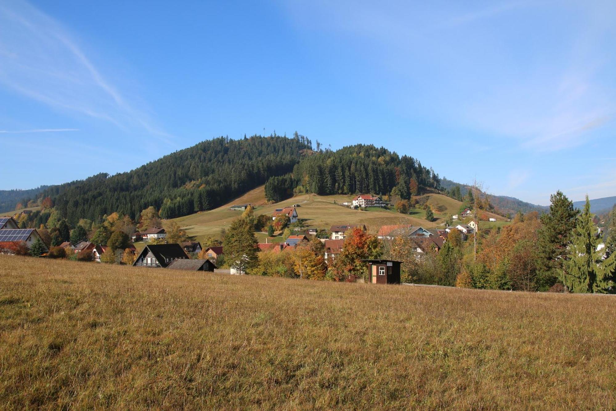 Luxus-Landhaus Im Schwarzwald/Baiersbronn Mit Pool Exterior foto